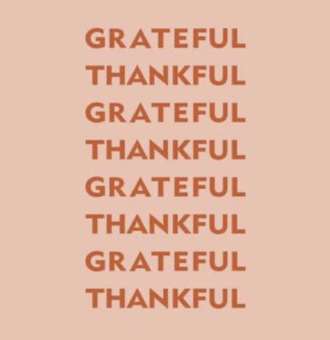 Petal Fresh® - Gratitude Strengthens Your Immune System 👇Read below.

Gratitude, the mother all virtues, has been scientifically proven to make people happier, more satisfied with their lives, less ma...