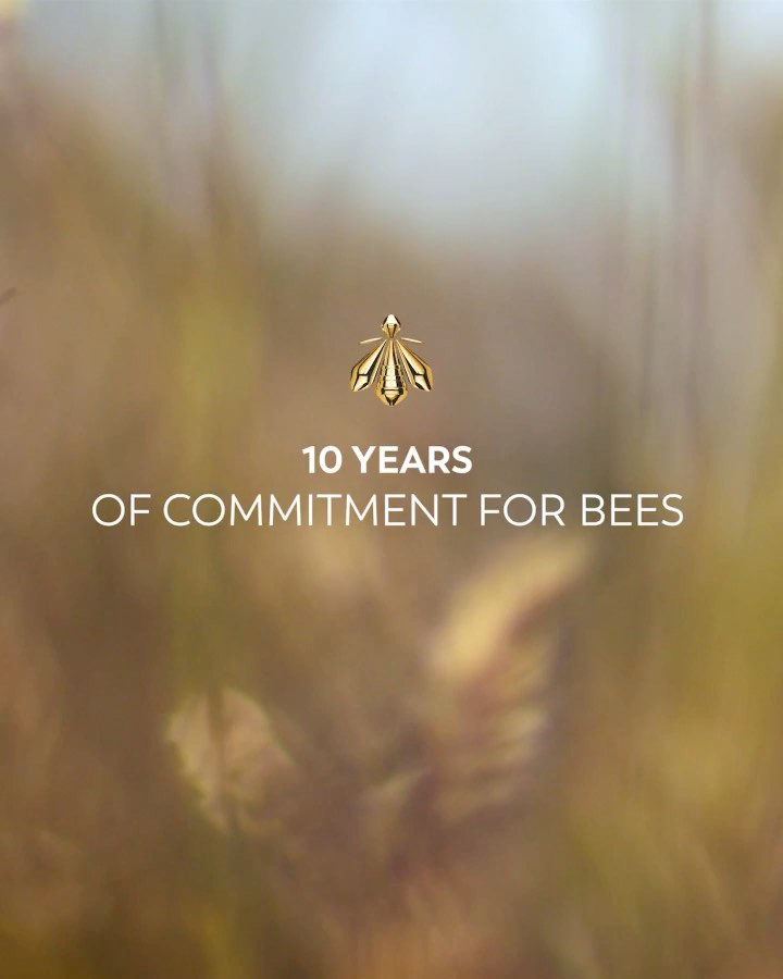 Guerlain - Bees are a crucial part of our planet's ecosystem. At Guerlain, we're indebted to this invaluable worker for each and every one of our skincare innovations.

For this reason, Guerlain is pr...