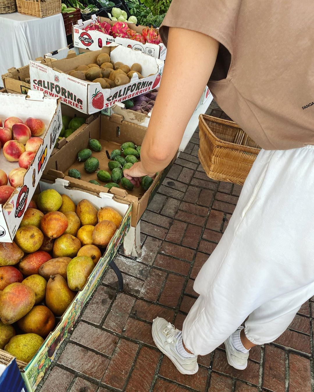 Maria Sharapova - Sunday’s farmer’s market pit stop. Delicata squash and guavas are back—It must be fall 🍂🍁