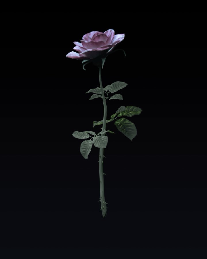 Blumarine - A rose is a rose is a rose is wild.
Blumarine ARE a rose.
#Blumarine, #BlumarineTheNewHorizon,
#BlumarineWildRoses