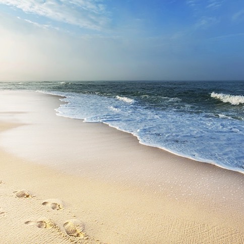 TOOFRUIT - Le saviez-vous ? 
Chaque année 8 millions de tonnes de déchets 🥽🥎 🥤👡 plastiques sont déversés dans les océans ! 
La nature est ✨  belle ✨ , protégeons-la 🌈. Pendant les vacances d’ét...