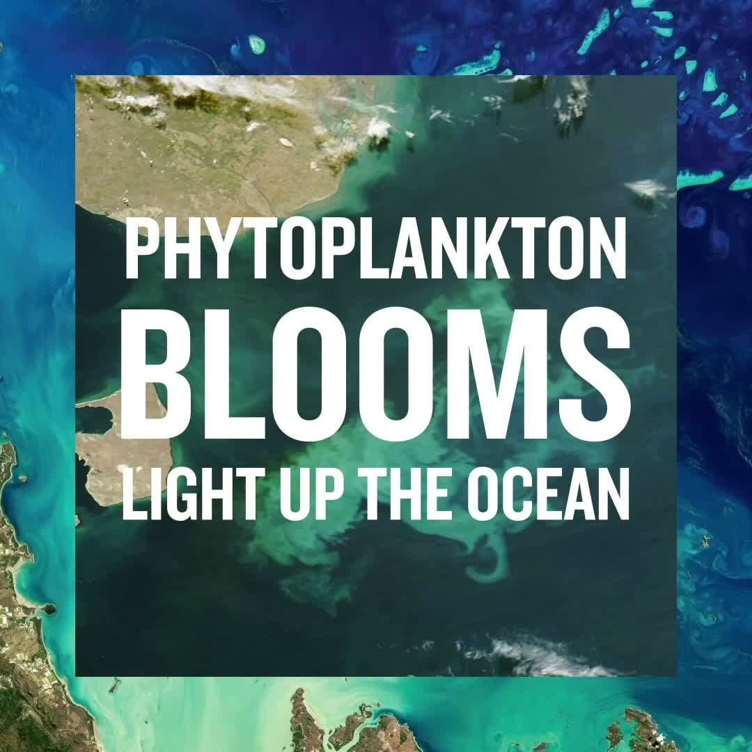 BIOTHERM - Phytoplankton is one of the most crucial elements to our earth's ecosystem, creating 50% of the oxygen we breathe. 

Their yearly bloom is a beautiful phenomenon and also the continuation o...