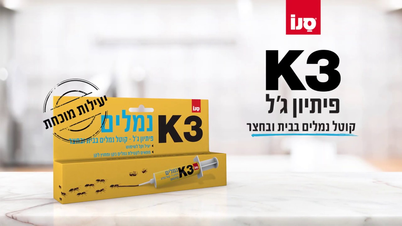 K3 נמלים