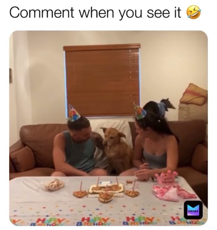 J. Cat Beauty - LOL😂 Tag someone to make them laugh🥳
.
.
.
#jcatbeauty #jcat #cute #funny #lol #beauty #makeup #instabeauty #nomakeup #makeupdolls #crueltyfree #memes #meme #funnymemes #sotrue #relata...