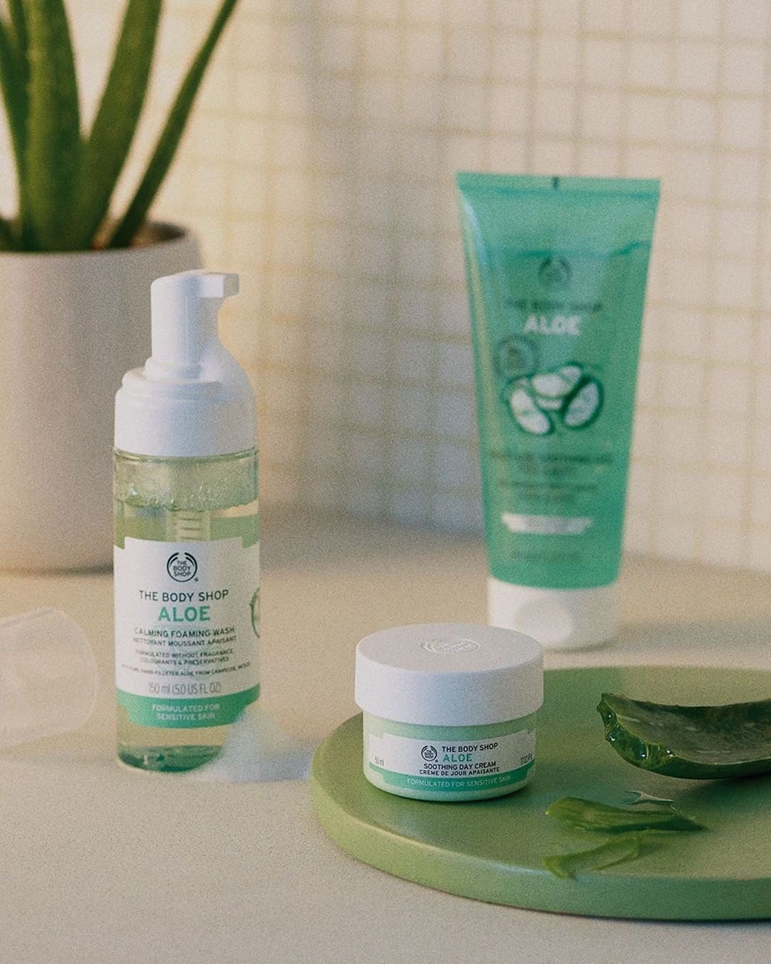 The Body Shop India - Wearing masks all week has left us and our skin irritated. Let's change that and take care of it. Our Aloe skincare range is just what we need! Explore the benefits of Aloe Vera...