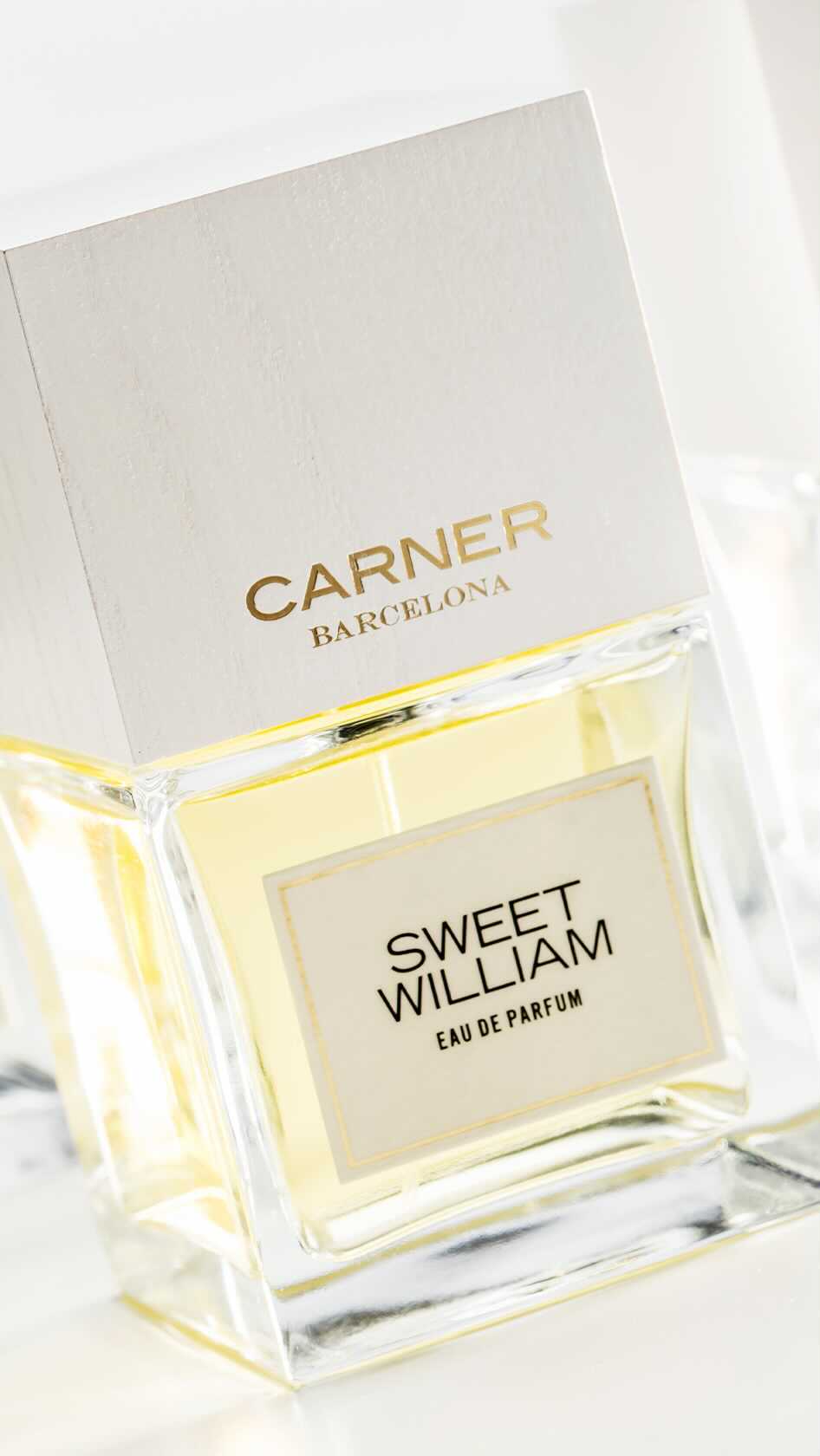 CARNER BARCELONA • Perfumes - Sara Carner, our founder, talks about Sweet William 🤍

#sweetwilliam #igtv #carnerbarcelona #carner #barcelona #nicheperfume #fragrance #perfume