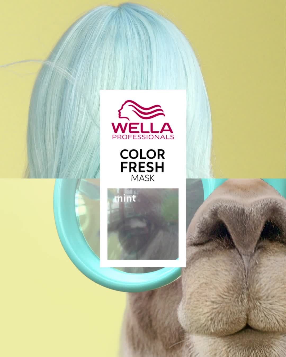 Wella Professionals Russia - Оттеночная маска с ухаживающим эффектом – звучит слишком хорошо, чтобы быть правдой? Но с Color Fresh Mask всё возможно, так еще и в домашних условиях😍

Вас ждёт невероятн...