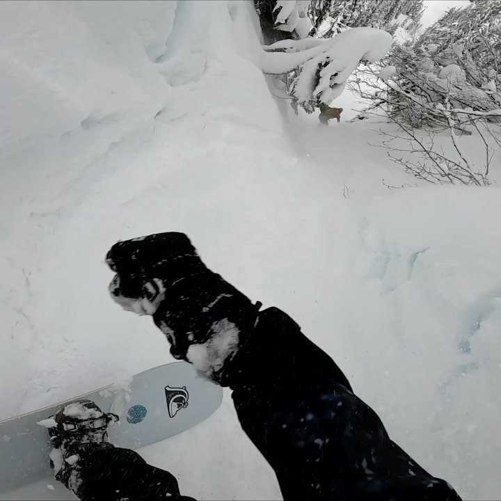 Quiksilver - What happens when you gather a mix of ridiculously talented boarders and point two RVs at the Cascade Mountains? A lot of this. And a lot of fun. 

Next week, we’re dropping Fully Baked —...