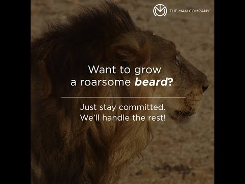 It's time to roar!