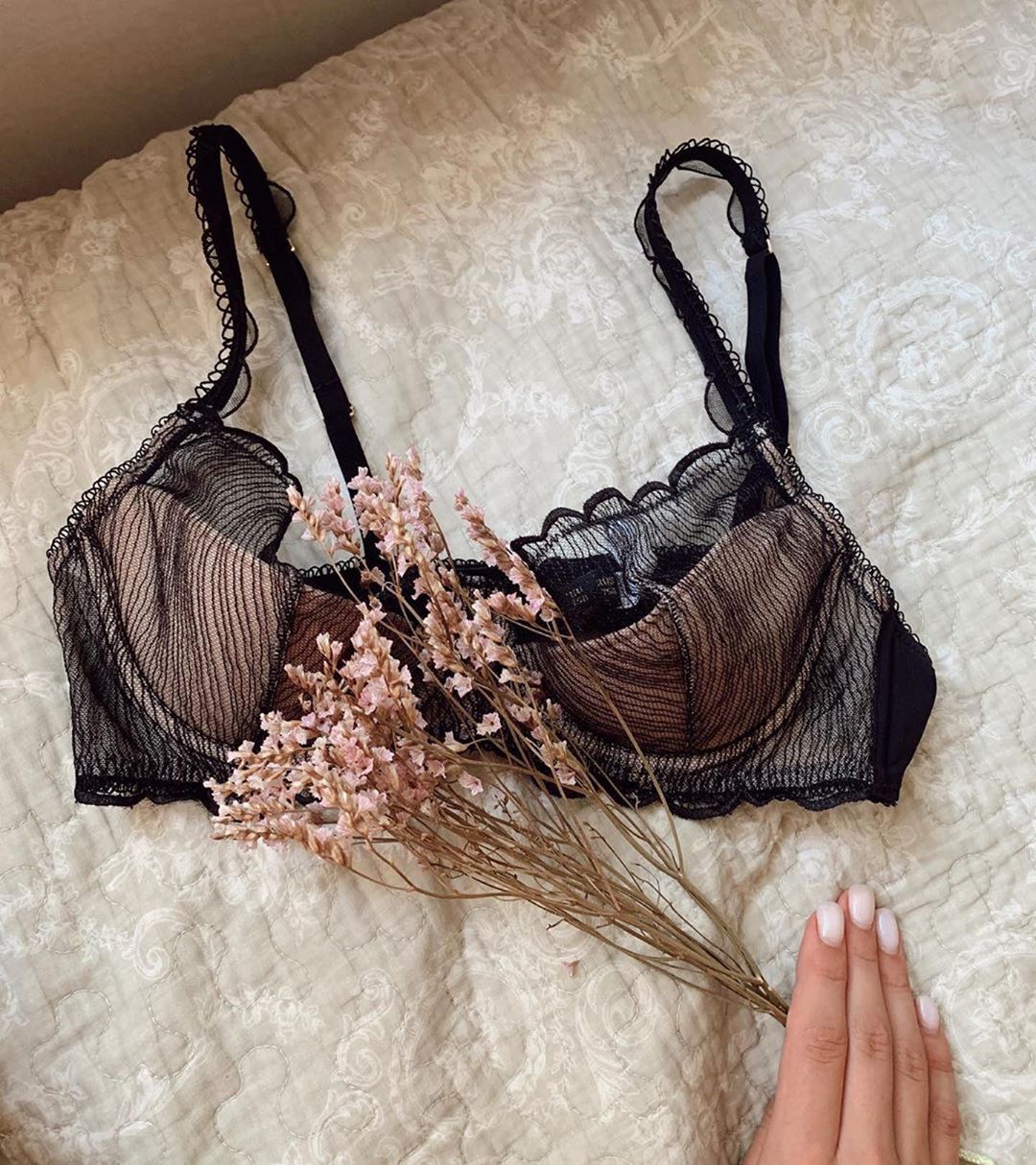 INCANTO OFFICIAL - Floral dreaming. A closer look at the fine detailing of Dion Collection
Thanks to lovely Appolinaria @apskrundz 💕
Discover more lingerie on SALE 🔥 in our digital store
Bra [CD11364]...