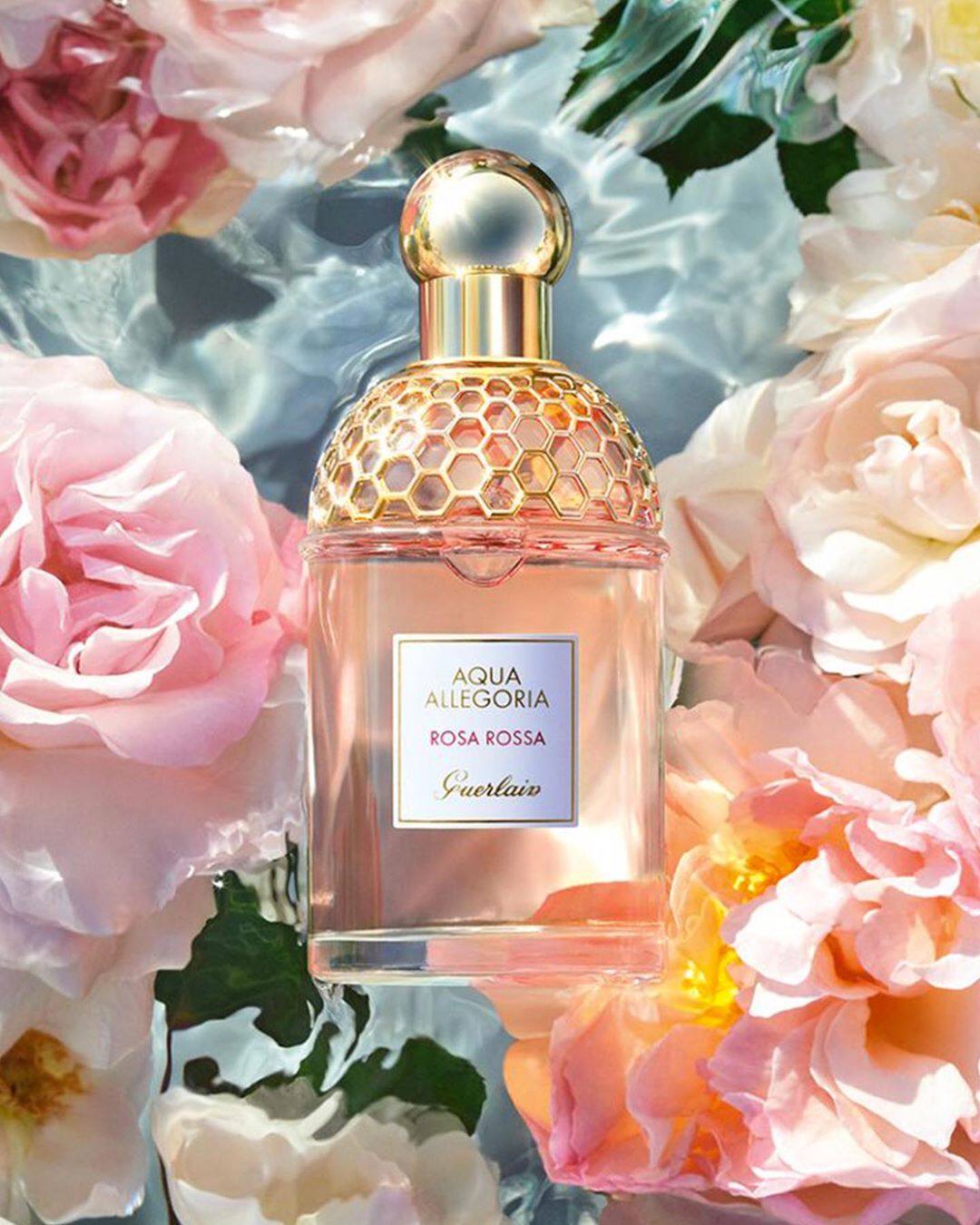 Guerlain - Rosa Rossa captures the essence of the Bulgarian rose - the finest and most fragrant in the world. Renowned for its perfume and vivid colour, the rose is harvested by hand each June, with e...