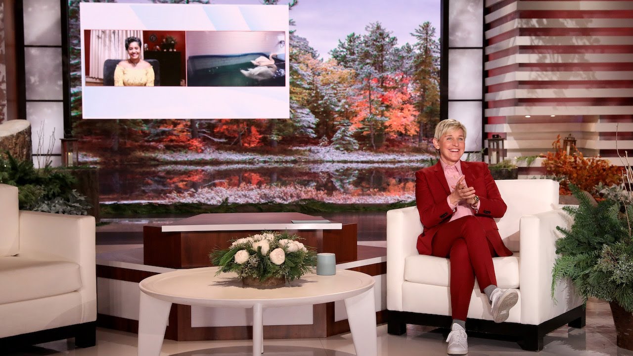 Ellen Meets Determined Swan Rescuer