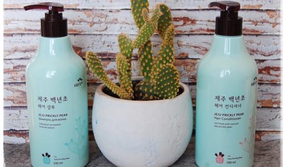 Шампунь VProve Увлажняющий с кактусом FLOR DE MAN JEJU PRICKLY PEAR HAIR SHAMPOO фото