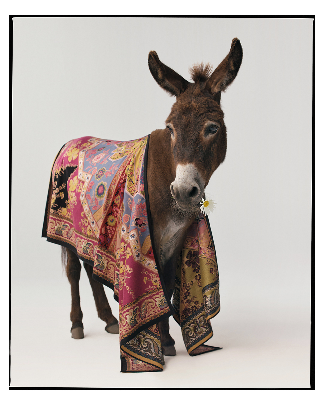 ETRO - WE ARE ALL ONE⁣
⁣
For the Fall Winter 2020/21 Advertising Campaign, photographer @dariocatellani portrayed an act of union and sharing in which animals and human beings are co-protagonists, con...