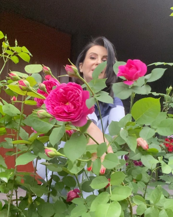 Екатерина Стриженова - Роза в саду вызывает у меня особые чувства! Потому,что нельзя быть красивой такой...#лето #мойсадик #розы #розовыерозы #подмосковье