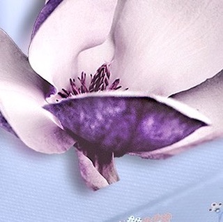𝖠𝖳𝖳𝖠𝖱 𝖢𝖮𝖫𝖫𝖤𝖢𝖳𝖨𝖮𝖭 - Appreciate our new fantastic fragrance Azalea!🌸
The perfume was created by famous perfumer Luz Vacuero!👌👃 She was inspired by atmosphere of Dubai nightlife and created the scent whi...