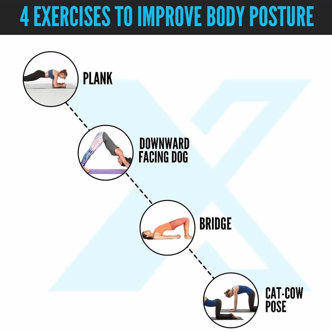 HealthXP® - Good Posture Contributes to a competent and confident appearance.🧍
.
.
.
.
#posture  #goodposture #healthxp #confidence #personality #follow #exercise #mondaymotivation #healthylifestyle #...