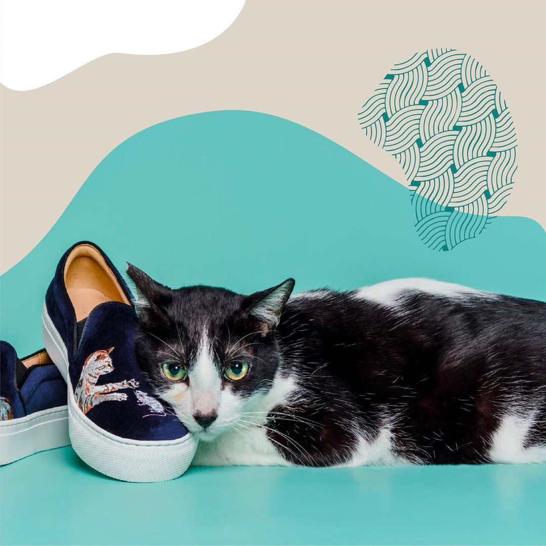 Shanghai Tang - Exciting 🐱 News⁠

The 7 cats from @lap.org.hk that joined our ‘Catch Me If You Can’ campaign photoshoot have all found their new families!⁠
⁠
貓貓迷注意

7隻參與「來抓我吧！」拍攝的貓咪模特都找到溫暖的新家了!⁠
⁠
#Sh...