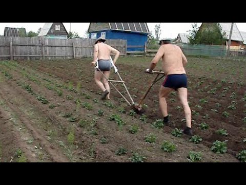 Лайфхаки которые облегчают жизнь