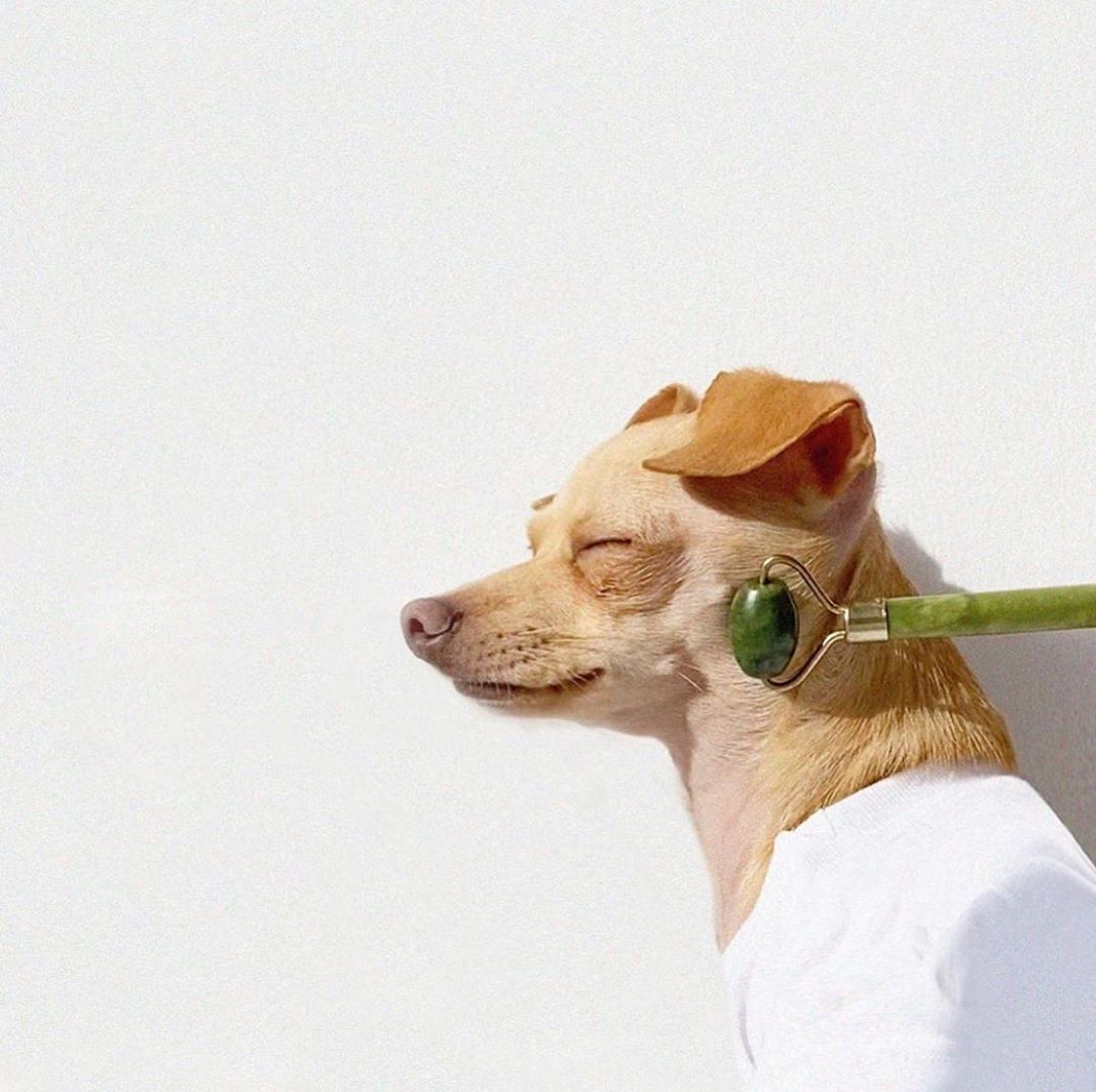 DS Laboratories - *Self-Care Sundays* Via: @boobie_billie