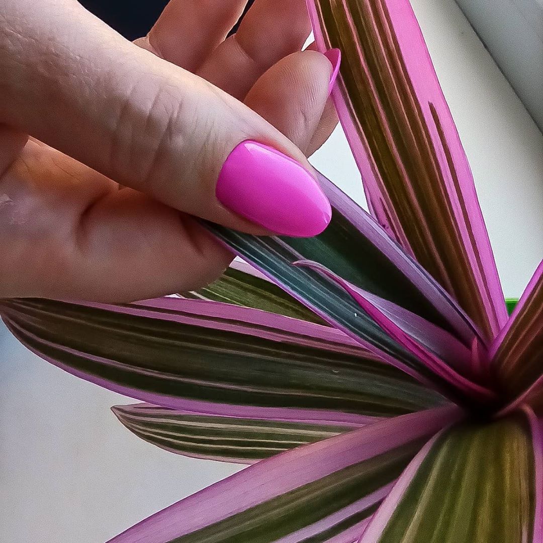 Производство маникюрных фрез - Двадцать шестая конкурсантка в нашем СУПЕР ФОТОКОНКУРСЕ  @nextazy_nails 😍😍😍😍
Как Вам такое слияние природных и рукотворных цветов? 🤗
_______________________________
От А...