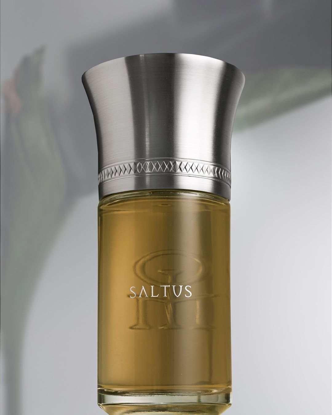 Liquides Imaginaires - Saltus - Les Eaux Arborantes
The vegetal nectar of the forest, a green blood, from roots to leaves.
#LiquidesImaginaires #LesEauxArborantes #Saltus #PerfumeOriginal