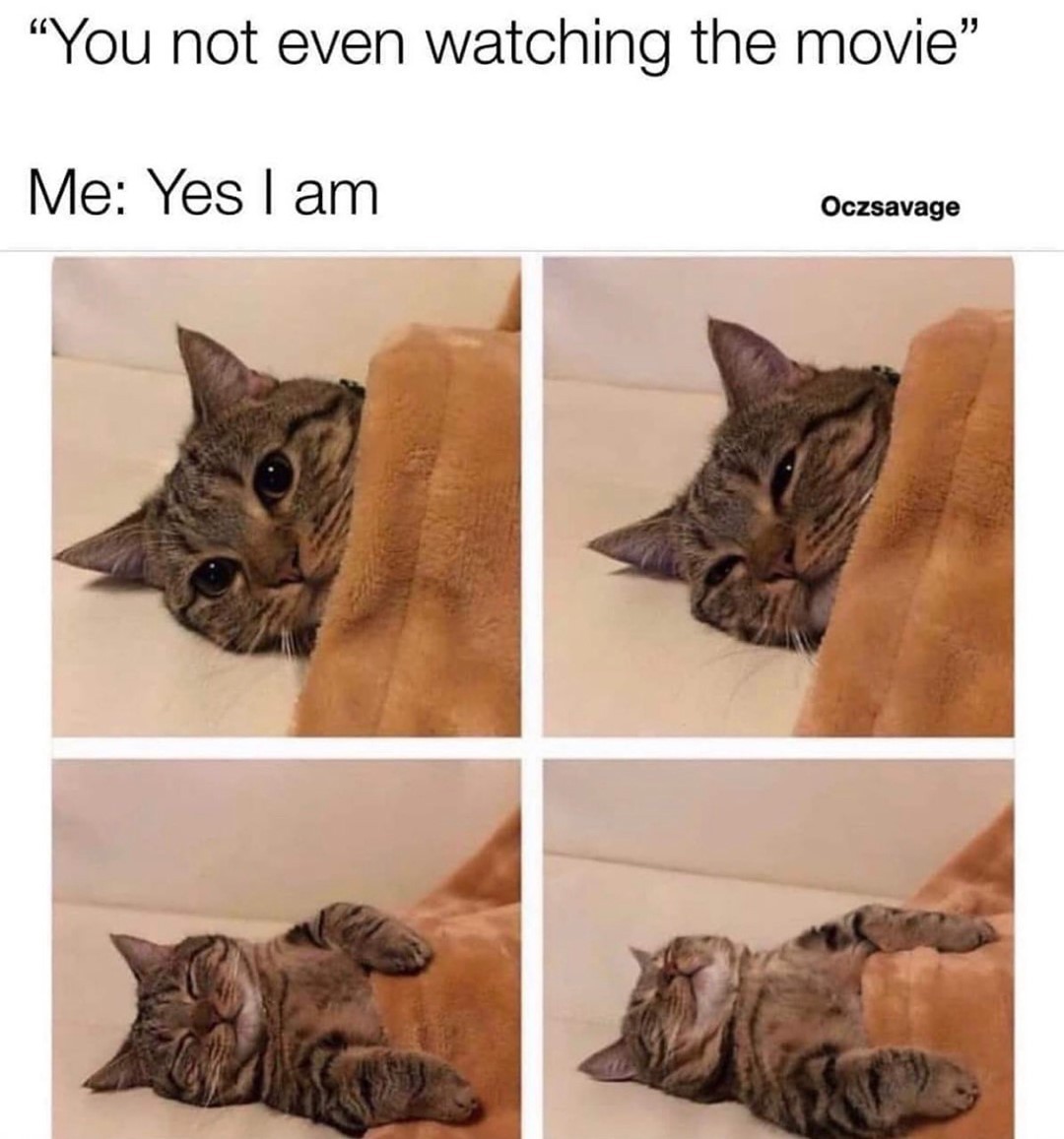 J. Cat Beauty - #MONDAYMOOD tag someone that's the worst to watch movies with😂⁠
.⁠
.⁠
.⁠
#jcatbeauty #jcat #cute #funny #lol #beauty #instabeauty #nomakeup #makeupdolls #crueltyfree #memes #meme #funn...