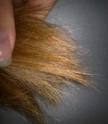 Как применять касторовое масло для волос от секущихся кончиков