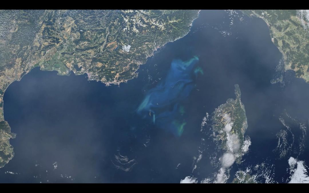 BIOTHERM - Phytoplankton are spectacular. These tiny single-celled organisms are key in supporting life on earth, playing a vital role in producing oxygen and making the ocean the Blue Lung of our pla...