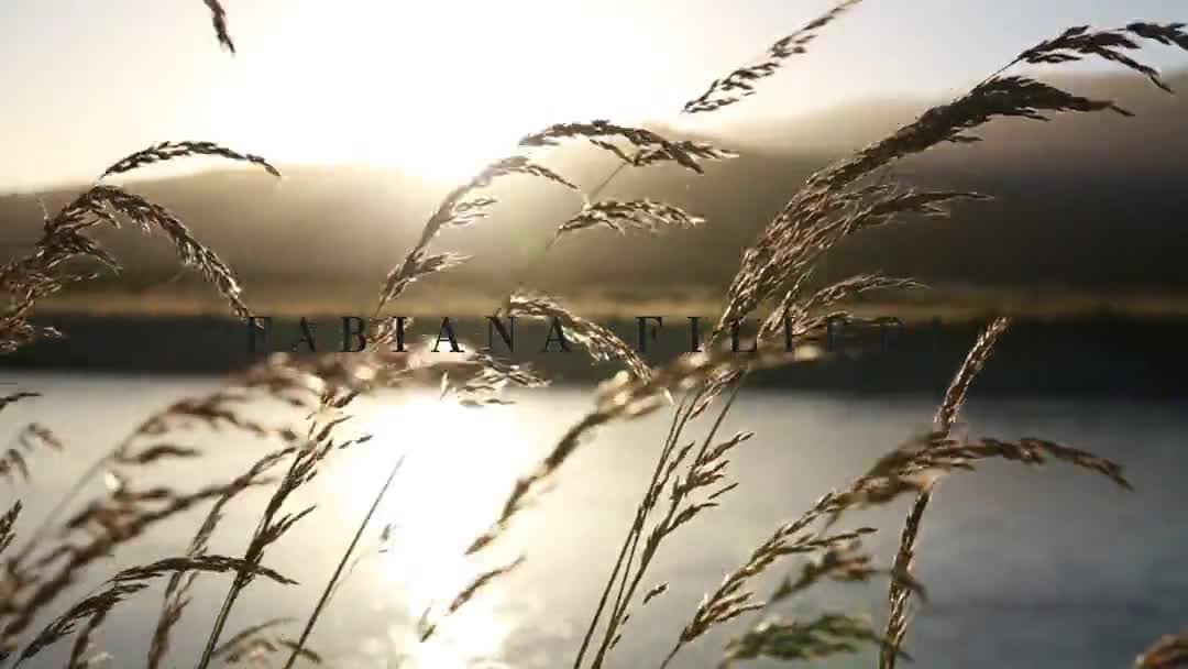 Fabiana Filippi - @fabianafilippi⁣
Immortalising stunning nature.⁣
⁣
#advcampaign⁣
#ss20⁣
#fabianafilippi