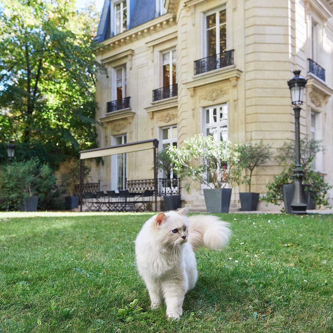 KARL LAGERFELD - According to @choupetteofficiel, Fall is in the air at the Maison #KARLLAGERFELD. 🍂