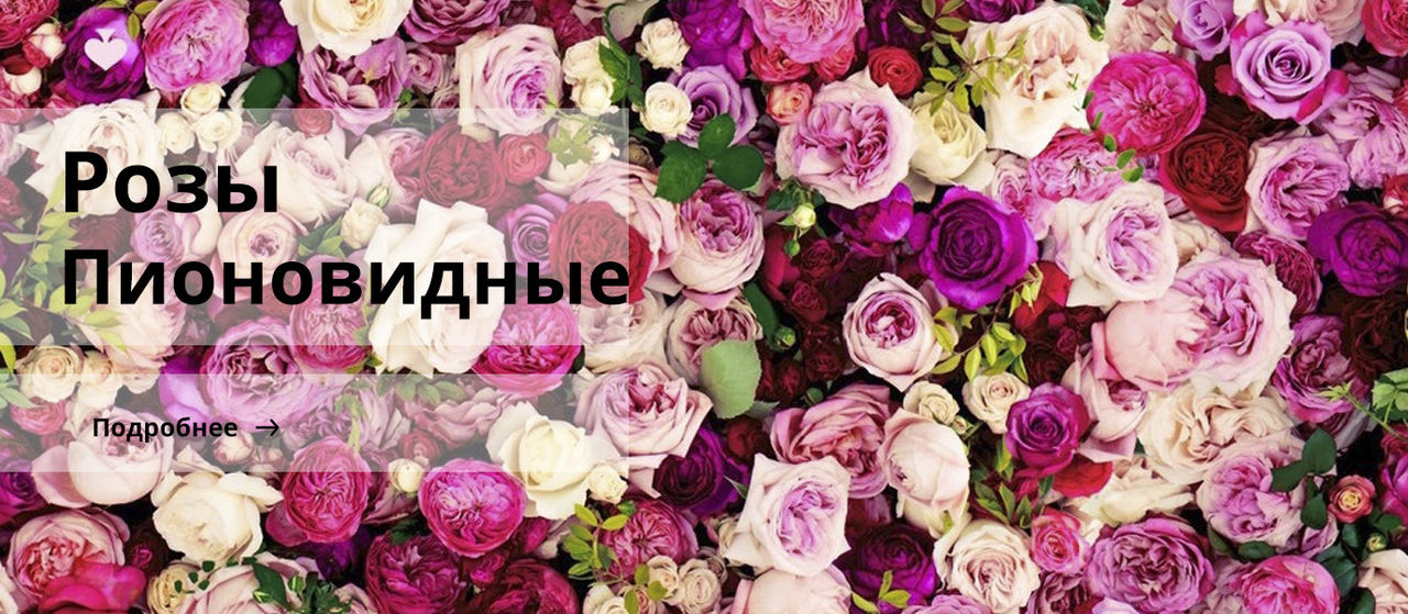 Тюльпаны к 8 марта от 35 рублей!