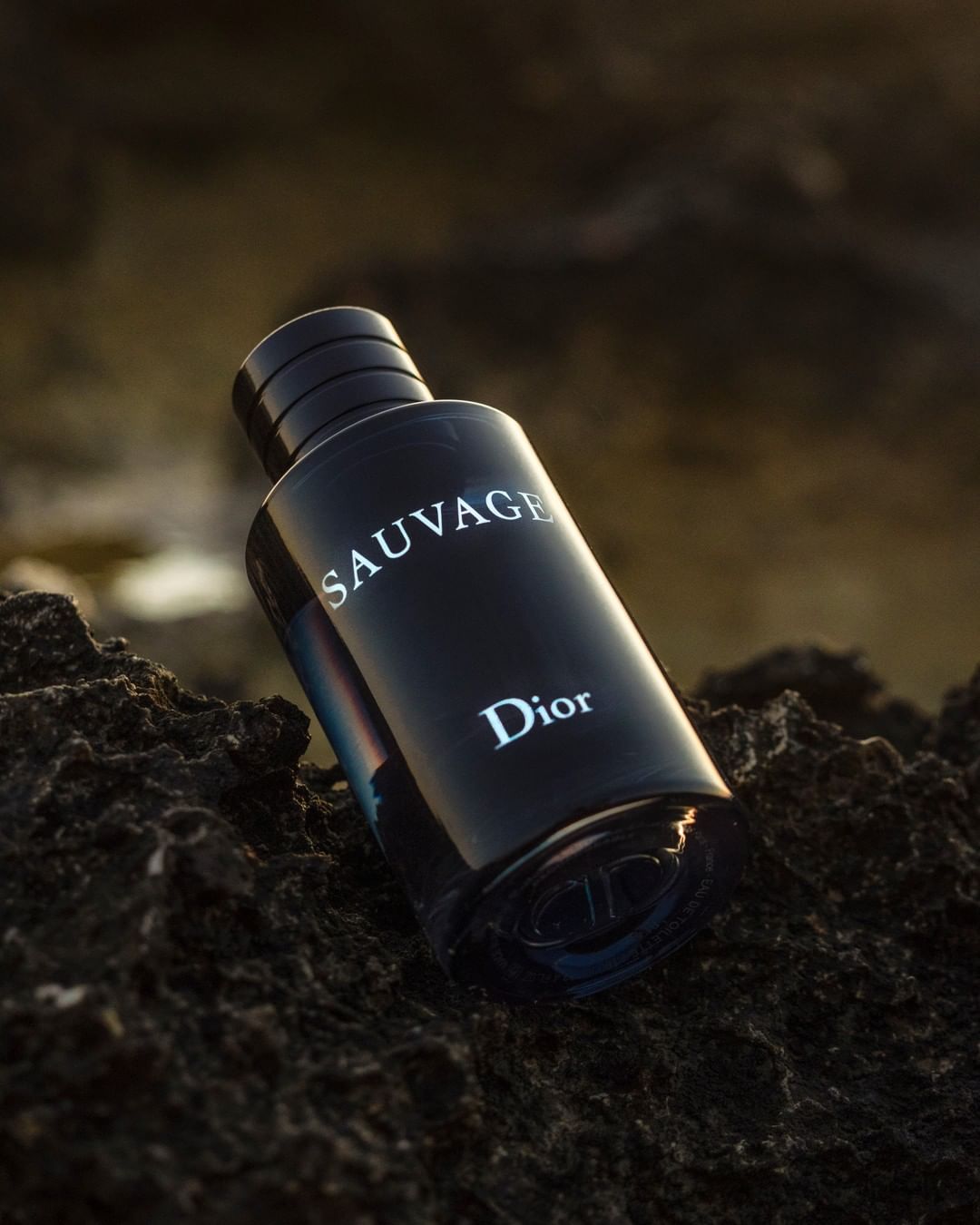 Dior Official - SAUVAGE – BORN IN THE WILD
Sauvage is a force of nature, powerful and noble all at once. 
•
#diorparfums #diorsauvage @diorparfums