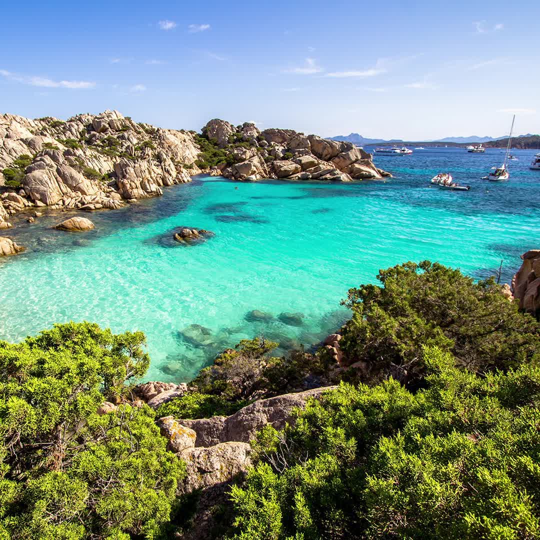 Collistar Italia - "Evoca i sentori della macchia mediterranea grazie al pregiato Ginepro di Sardegna"  svolgendo un'azione • esfoliante e rigenerante • tonificante e defaticante • idratante e nutrien...