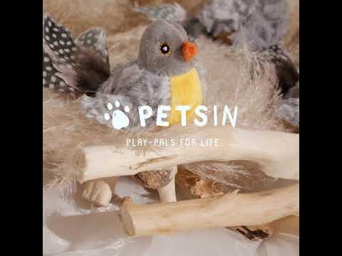 PLAY-PAWS FOR LIFE | New Bird Toy