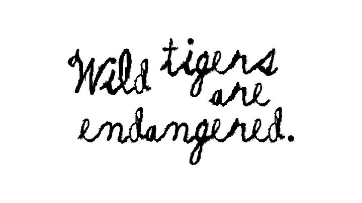 KENZO - #KENZOxWWF
Wild tigers are endangered. From perhaps 100,000 a century ago, their numbers declined to an estimated 3,200 wild tigers in 2010.
KENZO is partnering with @WWF to support their work...