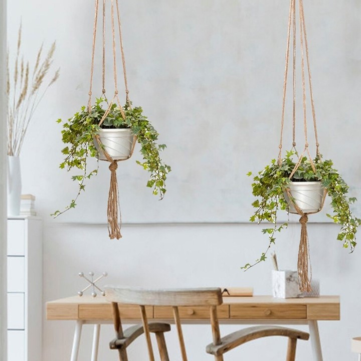 AliExpress - Good news for vertical gardeners!

We’ve just dropped the price on one of our favorite lines of plant hangers! Save 44% off 🔗 https://s.click.aliexpress.com/e/_d7adPgH?af=4001165302211 🌱