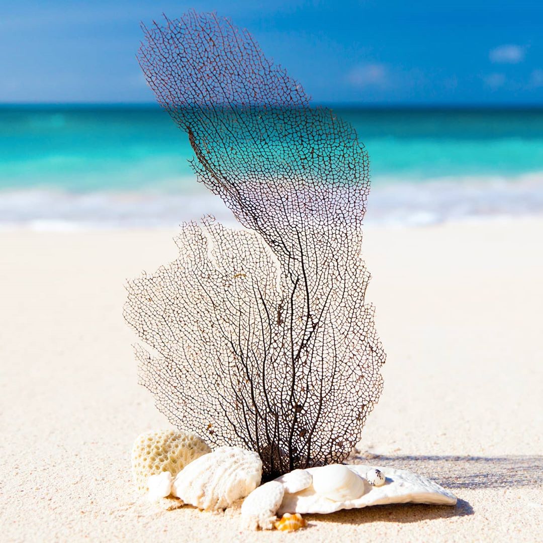 𝖠𝖳𝖳𝖠𝖱 𝖢𝖮𝖫𝖫𝖤𝖢𝖳𝖨𝖮𝖭 - Simply enjoy your day!!!!☀️🌊🏖

#attarcollection#uae🇦🇪#dubai❤#seashore#vacation🏖#summerholidays🏖#sunnydays☀️#arabianfragrance#bestday#perfectgift#enjoyyourday