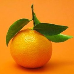 Маргарита 