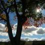 Luce 