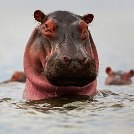 Александра 