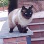 Doris 