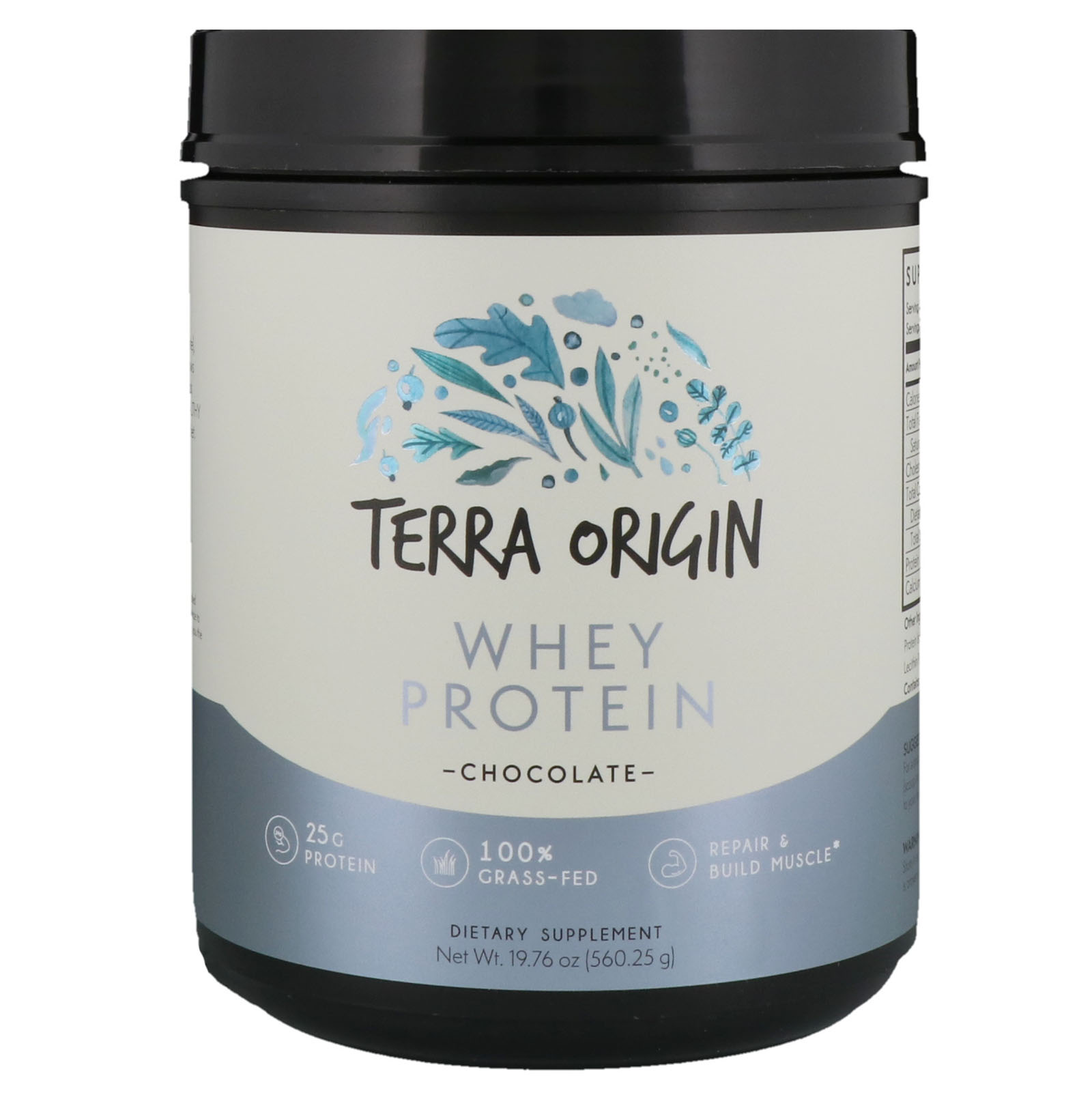 Terra Origin, Whey Protein, Chocolate, 19.76 oz (560.25 g)