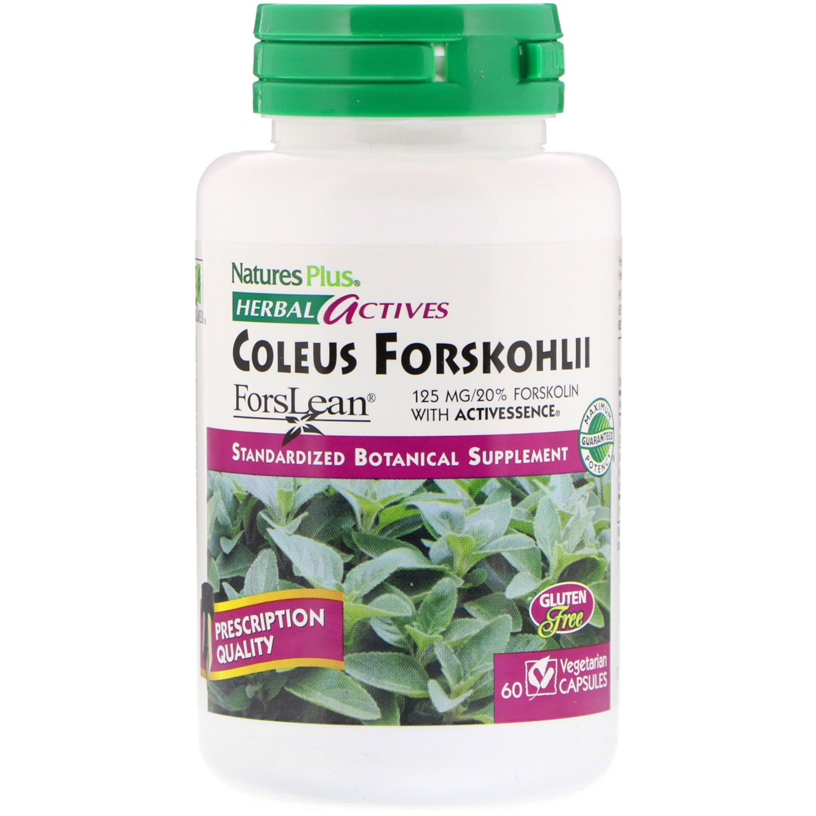 Nature's Plus, Herbal Actives, Coleus Forskohlii, 125 mg, 60 Vegetarian Capsules (Discontinued Item)