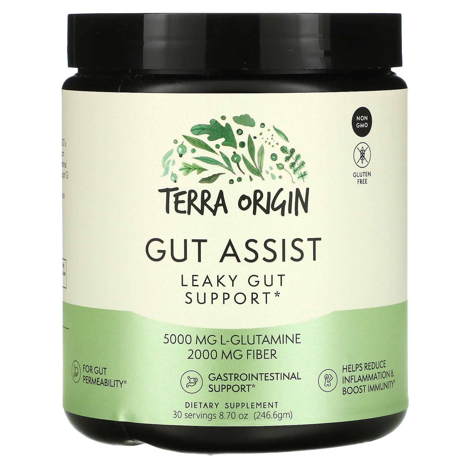 Terra Origin, Gut Assist, Leaky Gut Support, 8.7 oz (246.6 g)