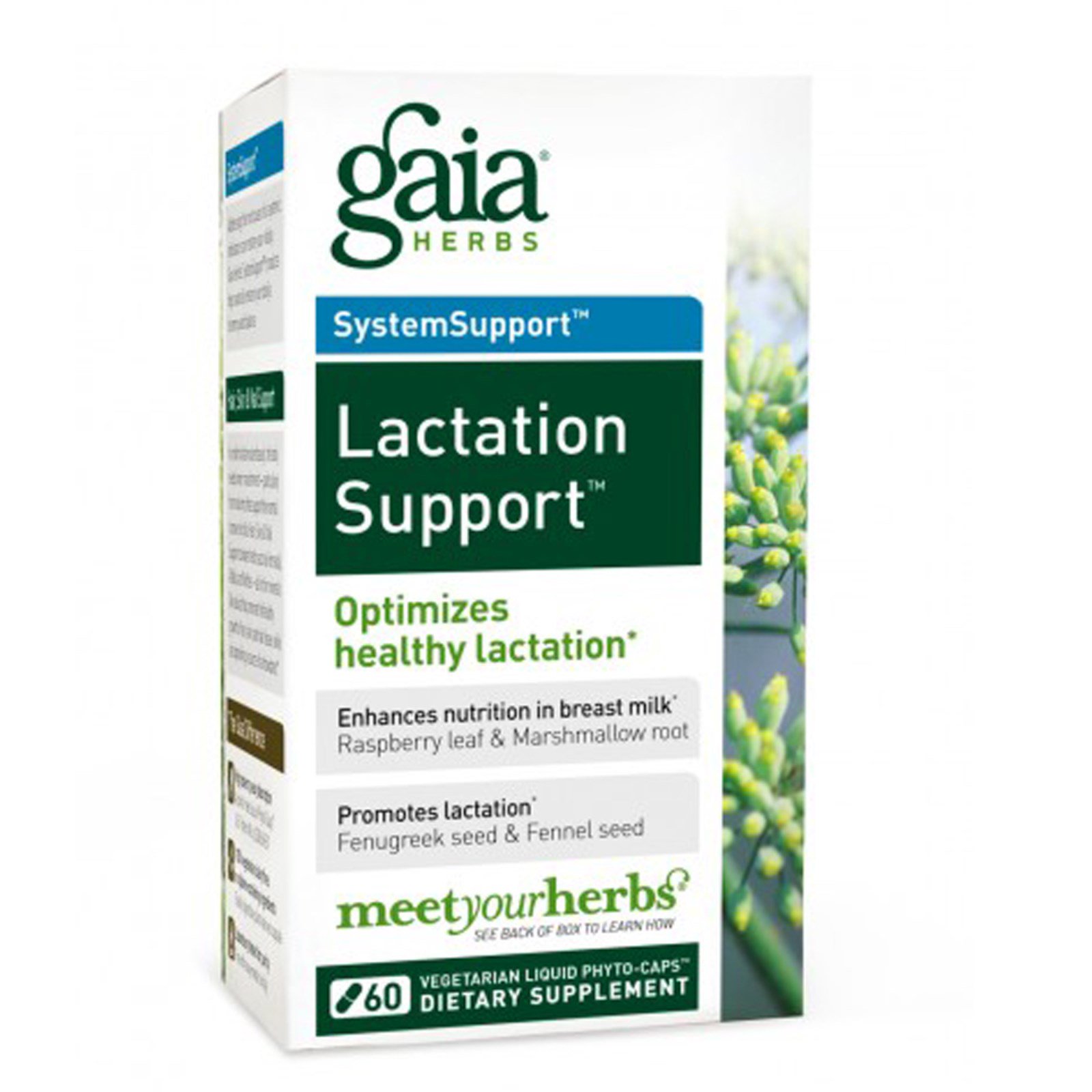 Gaia Herbs, SystemSupport, Lactate Support, поддержка лактации, 60 жидкостных растительных фитокапсул