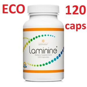  Laminine Eco 120 капсул диетические добавки -- оригинальная Usa laminina