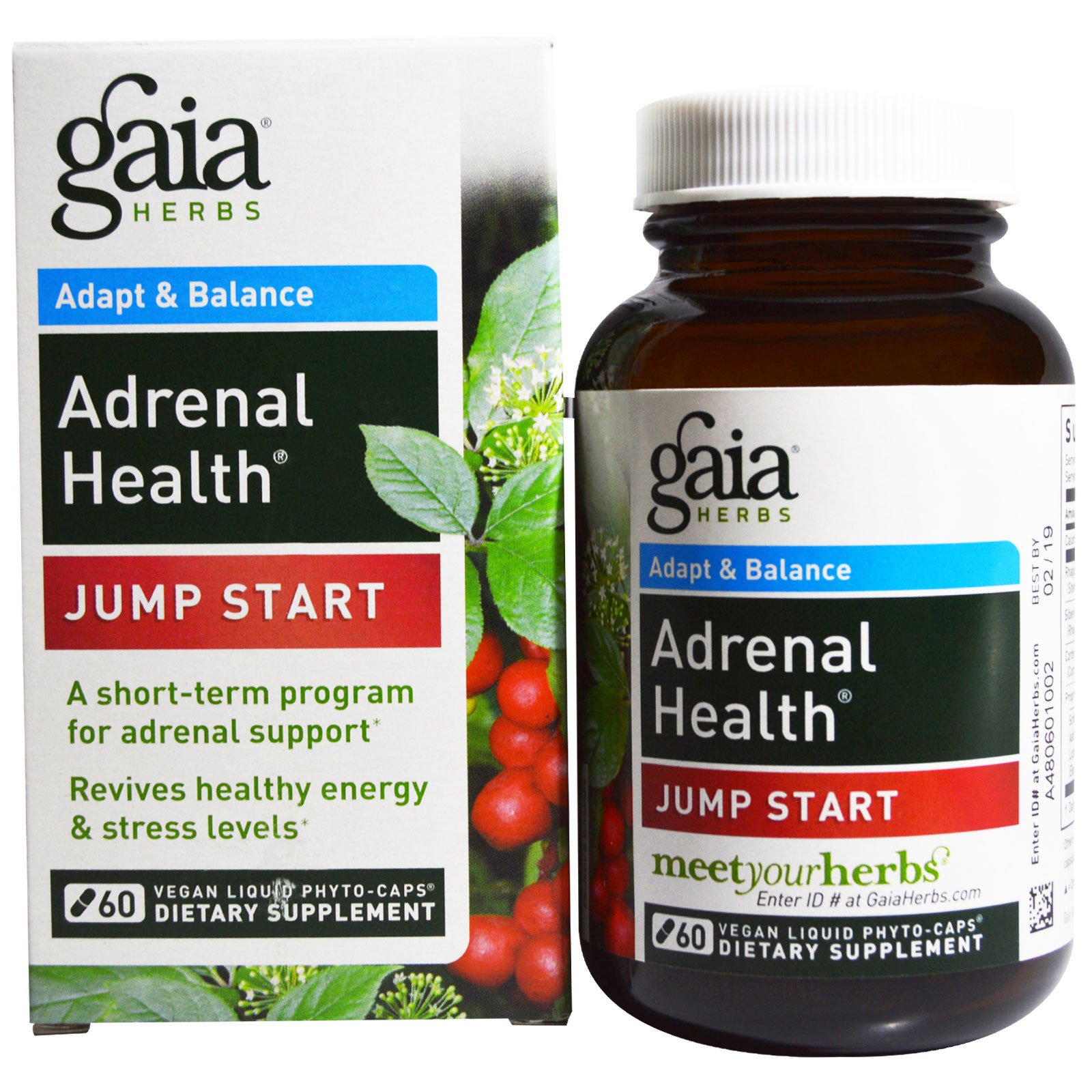 Gaia Herbs, Adrenal Health, Jump Start, 60 веганских жидких фитокапсул