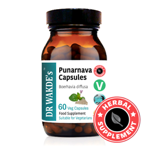  DR WAKDE'S Punarnava gélules (Boerhavia diffusa) I 100% Complément aux herbes..